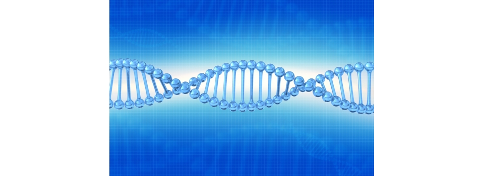 D-Link DNA - быстрое и надежное соединение